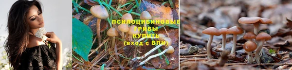 COCAINE Кукмор