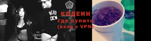 крисы Кулебаки
