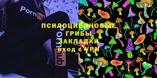 крисы Кулебаки