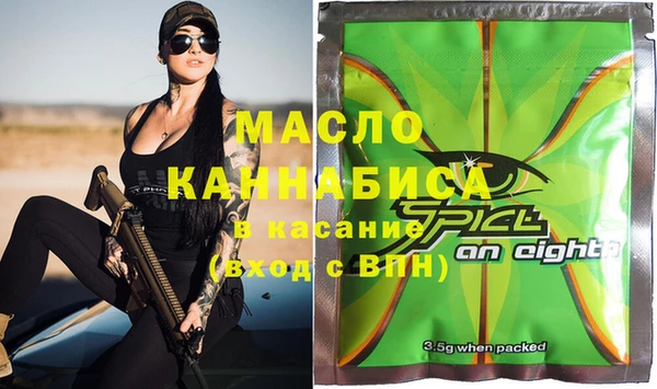 крисы Кулебаки