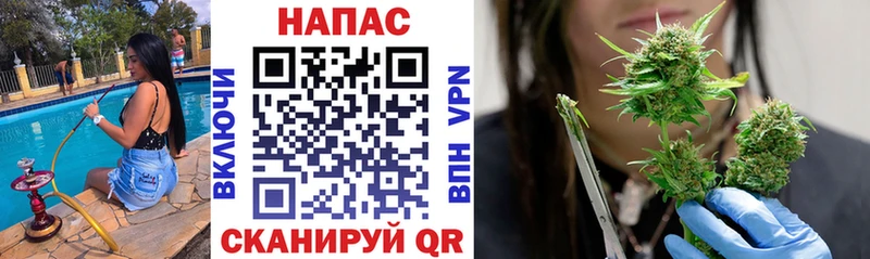 Бошки Шишки семена  цена   OMG   Мелеуз 